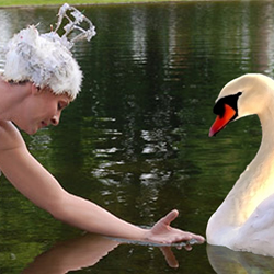 Mein Lieber Schwan